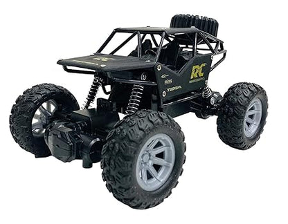 Rock Crawler 4x4 RC Car