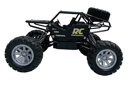 Rock Crawler 4x4 RC Car