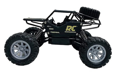 Rock Crawler 4x4 RC Car